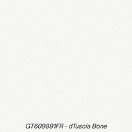 GT609891FR dTuscia Bone roman