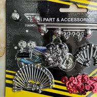 DIAMOND SALAYA - Full set of screws Ex135/Ex11 salaya D3 model