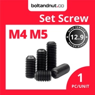 M4 M5 Hex Socket Set Screw / Grub Screw DIN916 | Alloy Steel Grade 12.9 | Black Oxide | Skru Allen K