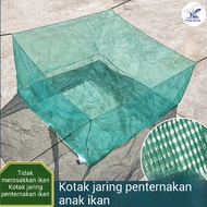 Sangkar Jaring Bela Anak Ikan Siap Pakai Ukuran 1m-2m Sangkar Jaring Ikan Bela Anak Ikan Kolan Pukat