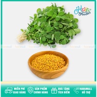 Methi Seeds – Fenugreek Methi Seeds [GENUINE]