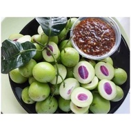 BUAH STAR PUTIK / BUAH REMIA PUTIK /BUAH KUNDANG PUTIK