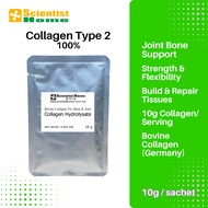 SCIENTIST HOME Collagen Hydrolysate 10g | Joint Bone Support Collagen Type 2