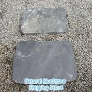 GPS Green Plant Society Natural Bluestone Garden Path Irregular Shape Stepping Stone Slab 天然青石板 不规则庭