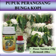Pupuk Organik Perangsang Bunga Kopi / Obat Perangsang Bunga Kopi / Obat Semprot Bunga Kopi