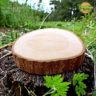Wood slice 23-25x5cm meat cutting board 5 cm thick round wooden cutting board - 20 - 22 cm, 5 cm