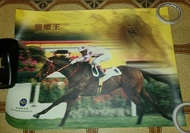 香港賽馬會 國際賽 打吡 靚蝦王 馬王 HKJC 海報