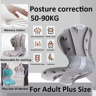 Posture Correction Chair | Ergonomic Back Support For Chair  | Lumbar Support | Adult