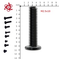 Baut Screw Kecil M2.5x10 Laptop Toshiba Dell Samsung Asus Acer Lenovo