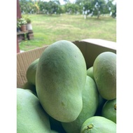 Mangga Harum Manis 6kg