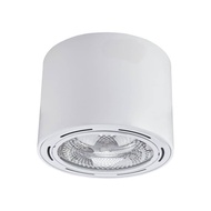 Surface Down Light 8'inch (Bulb type easy maintenance) 2XE27 For LED Bulb, Steel Tempered Glass