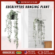 FEJKA Eucalyptus Hanging Plant Artificial Pokok Gantung Hiasan Rumah