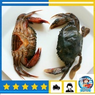 Indonesia Soft Shell Crab / 印尼软壳蟹 (80-100gm/pcs) Ketam Lembut Goreng KFC - Old Mama Seafood