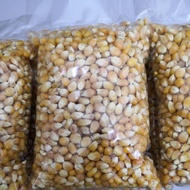 Popcorn Mushroom Kernel 1kg 500gram