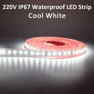 AC 220V Waterproof LED Strip Light SMD 2835 120LEDs/m 1M 2M 5M 8M 10M 20M Flexible Ribbon Tape Lamp