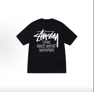 Stussy Dover Street Market (DSM) Singapore Tee
