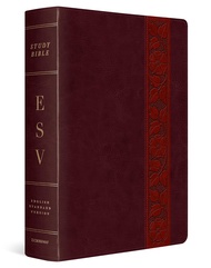 ESV Study Bible Large Print | Text size 11 | Leathersoft | Gladsounds