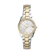 [Powermatic] Fossil Es4319 Women Quick Look Scarlette Three-Hand Date Stainless Steel Watch
