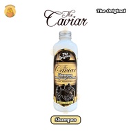THE CAVIAR SHAMPOO - SHAMPO CAVIAR - SHAMPO KUDA