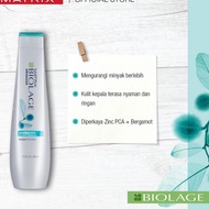 Matrix Biolage Scalppure Oil Control Shampoo 400ml