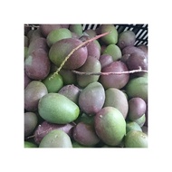 【產地直銷】愛文芒果青~生芒果~青芒果~愛文芒果~情人果冰~(另售土芒果)
