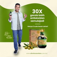 Olivie Plus 30%  Olive House