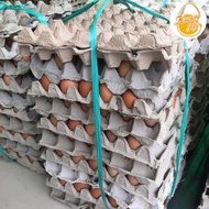 Hnfh05 Telur Ayam Ras 1 Ikat / Peti - 15 Kg Terpercaya