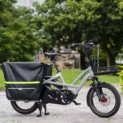 Wholesale City Electric Cargo Bike 48V 250W Dual Battery Cargo Bike 2-Wheeler Long Tail with Basket 
