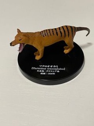 日本 滅絕動物 扭蛋 連蛋紙
