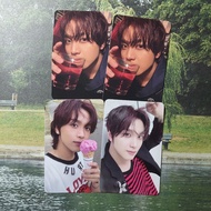 PHOTOCARD OFFICIAL HAECHAN TASTE SAVORY