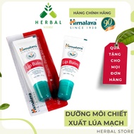 Himalaya Lip Balm with carrot and barley extract 10g - Domestic version in blister form