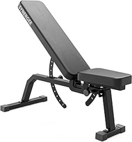 Synergee Adjustable Incline Decline Workout Bench. Weight Bench for Dumbbell &amp; Barbell Press Exercises &amp; Workouts. Great for Commercial, Garage and Home Gym