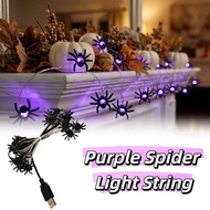 2/5M Black Spider Halloween String Lights Durable Construction Fake Spider Spider Web Lights Electri