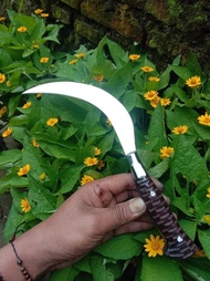 NEW!!! Celurit Madura Asli Super Tajam MURAH!!