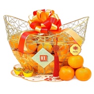 [NoelGifts.com] Lucky Oranges Chinese New Year Gift Hamper - Gold & Riches Gift Set (MPC26C7)