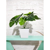 Artificial Monstera Pot Pot Display/ Artificial Monstera/ Monstera Display/ Flower Display