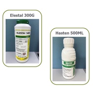 👉🏻ASLI👈🏻 Racun serangga Syngenta Elestal 54WG (A.i Spiropidion 30% + Acetamiprid 24%) 300gm + Spray 