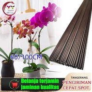 Order Now ! Tangkai Tiang Besi Anggrek Bulan Orchid: Dimensi 60/100cm