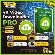4k VIDEO DOWNLOADER PRO VERSION