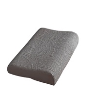 Oil-Proof Latex Pillowcase 60 X4050x30 Waterproof Rubber Memory Pillow Headgear Single 55 × 35 One-Pair Package Dinosaur