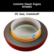 Crankshaft Oil Seal 3020185 Cummins NTA855