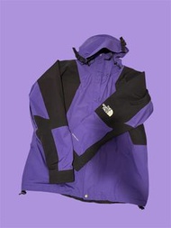 已停產 The North Face  1994 Retro Mountain Light Jacket