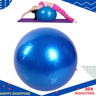 Gym Ball Yoga Pilates Fitness Ball 55cm 55cm Blue Color