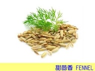 【歐洲菜籃子】印度Fennel茴香籽/ 甜茴香籽 200克(分裝) ，義大利香腸主要香料，茴香茶-歷史悠久的藥草茶