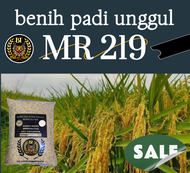 benih padi unggul MR219 berkualitas (1kg)