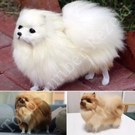 Boneka Anjing Mini Pom Lucu, Bulu Lembut Tebal, Boneka Anjing Mini Pom