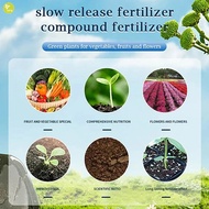 VFN Home Gardening Universal Slow-Release Tablet Organic-Fertilizer Plant Growth Nutrition Tablets