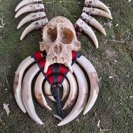 Kalung Dayak Tengkorak Kelapa Monyet Variasi Taring Kalung Etnik Pria