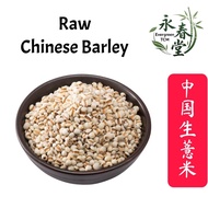 [Raw] Barley Chinese Raw Barley 100g/Coix Seed 100g (Coix Seed)