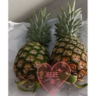 Nenas MD2 honey pineapple 1 prs，水晶黄梨，很甜的住家种植水晶黄梨